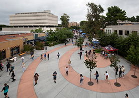 campus photo